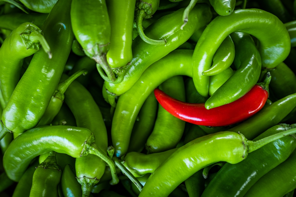 serrano chili